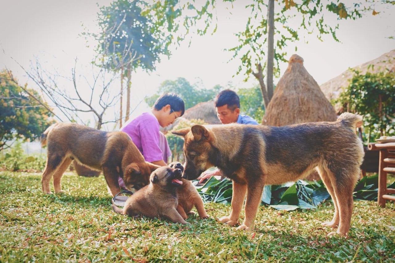 Mai Chau Valley Retreat ภายนอก รูปภาพ
